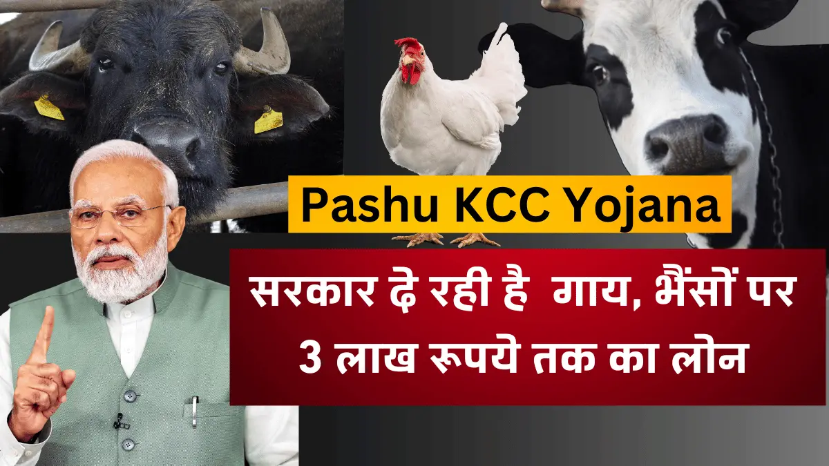 pashu-kIsan-Credit-Card-Yojana